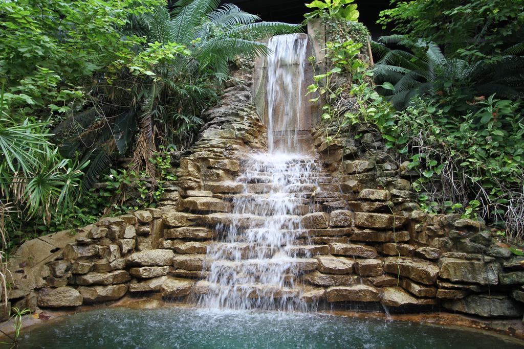 Family Garden Inn & Suites Ларедо Экстерьер фото