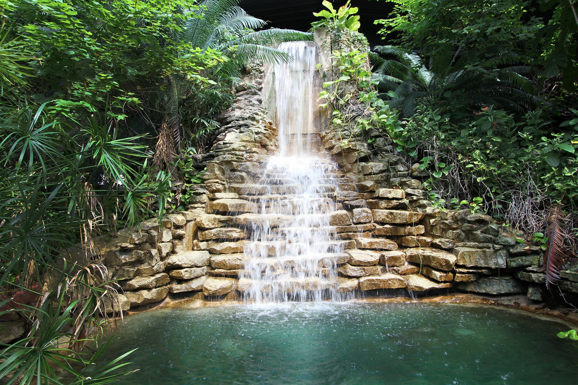 Family Garden Inn & Suites Ларедо Экстерьер фото